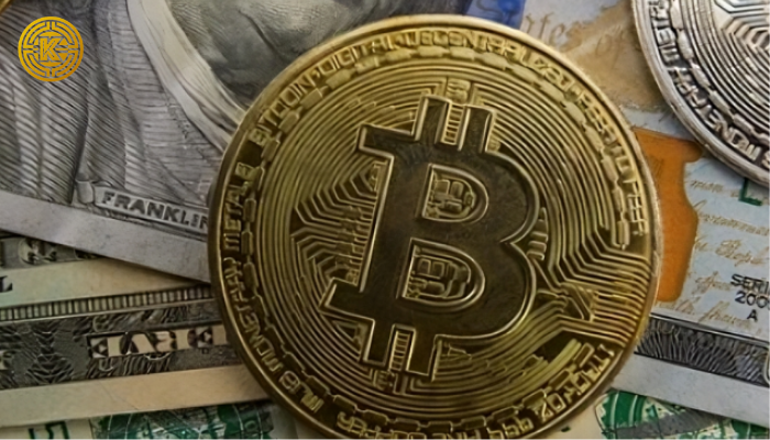 Hơn 800 triệu USD bị thanh lý, thị trường crypto chao đảo trong 24 giờ