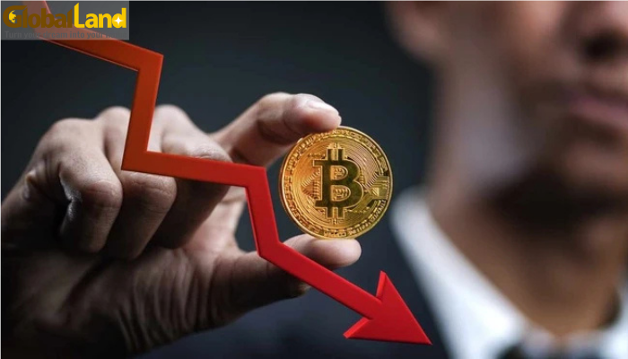 Bitcoin giảm mạnh xuống dưới 104.000 USD, thị trường hoảng loạn Bitcoin giảm mạnh xuống dưới 104.000 USD, thị trường hoảng loạn