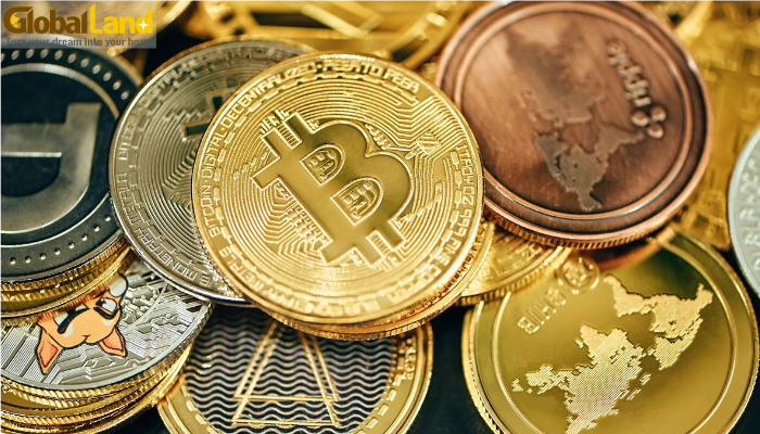 Solana, BNB và XRP trở lại mạnh mẽ giữa lúc thị trường điều chỉnh