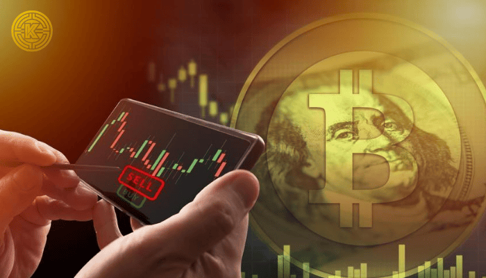 Bitcoin bật tăng từ vùng quá bán, thị trường crypto hồi phục nhẹ