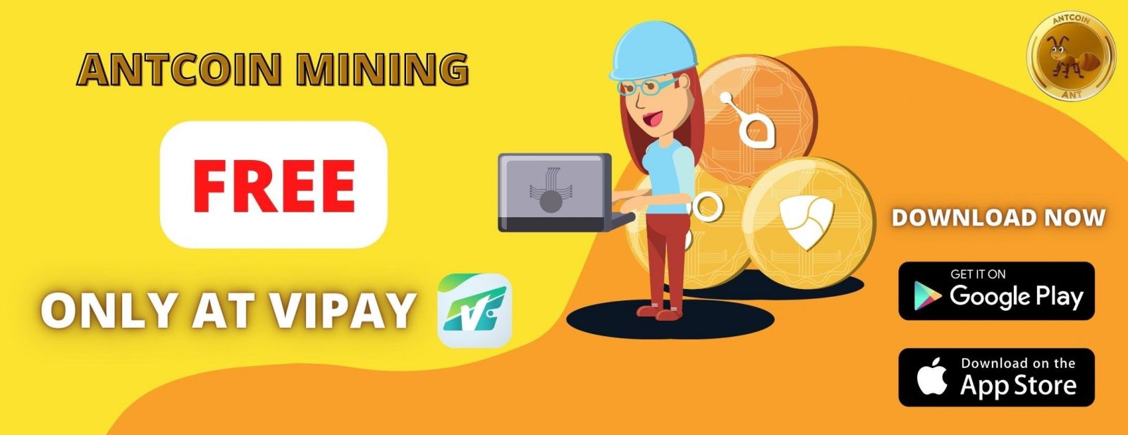 Giới thiệu các gói quyền lợi trên Vipay