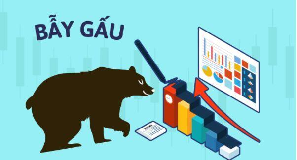 Bẫy gấu trong thị trường tiền điện tử là gì? Cách tránh bẫy gấu như nào hiệu quả
