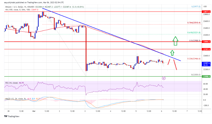 Giá bitcoin chuyển sang màu đỏ dưới 23.000$, điều gì có thể kích hoạt sự sụt giảm mạnh