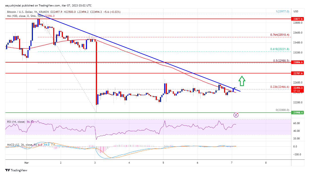 Quá trình phục hồi giá của bitcoin sẽ như thế nào