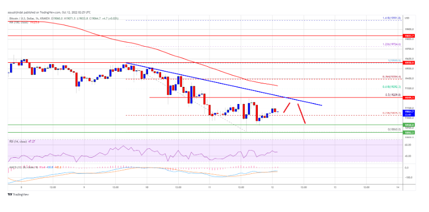 Phục hồi giá Bitcoin sẽ không dễ dàng, tại sao gấu nhắm mục tiêu dưới $ 19.500