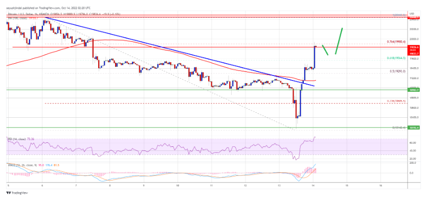 Giá Bitcoin tăng 5% - Tại sao tăng giá