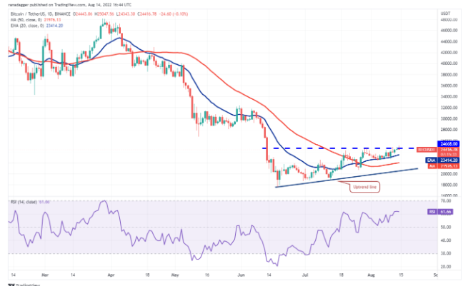 Phân tích những đồng coin đáng chú ý trong tuần: BTC, ADA, LINK, CHZ, UNI