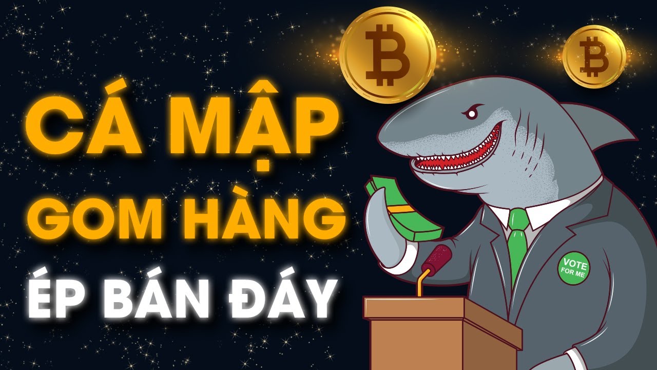 Tìm hiểu cá mập trong thị trường tài chính