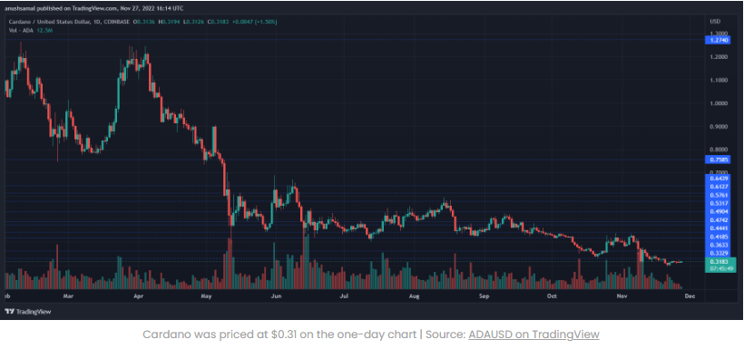 Điều gì tiếp theo đối với giá Cardano 0.31$