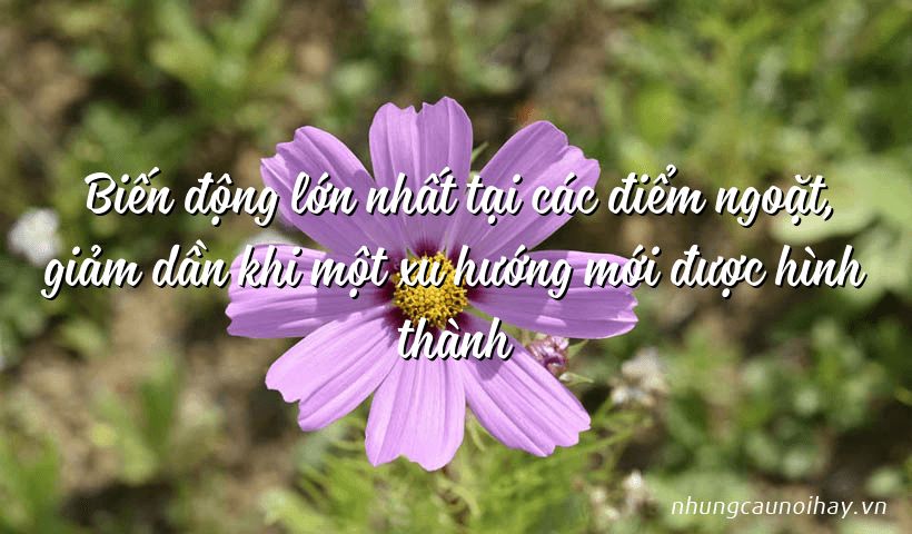 Tổng hợp những câu nói hay trong trading