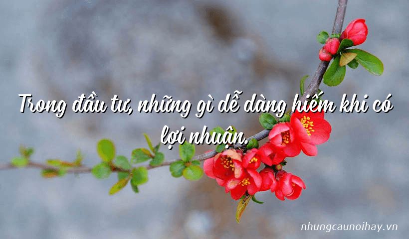 Tổng hợp những câu nói hay trong trading