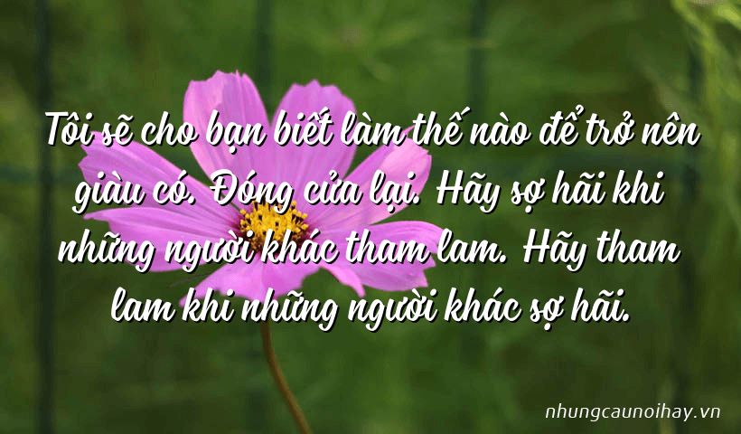 Tổng hợp những câu nói hay trong trading