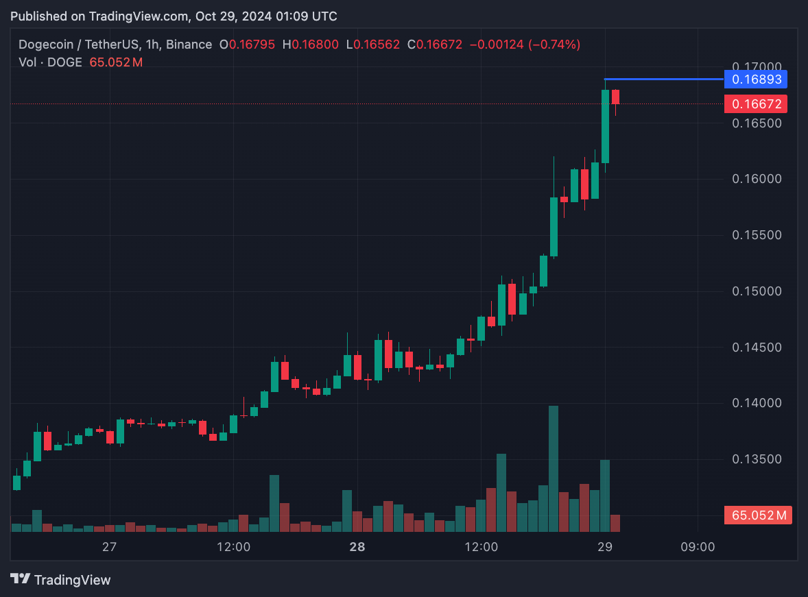 Nguyên nhân khiến giá DOGE tăng trên 17%