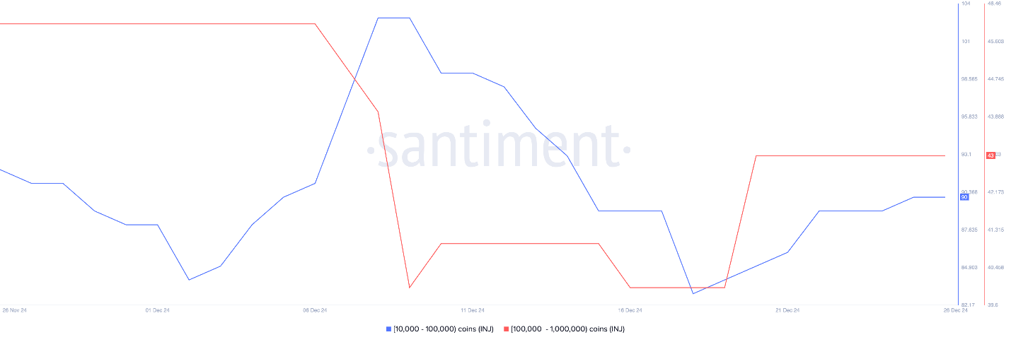 Altcoin nào thu hút sự chú ý của cá voi trong tuần cuối tháng 12/2024?