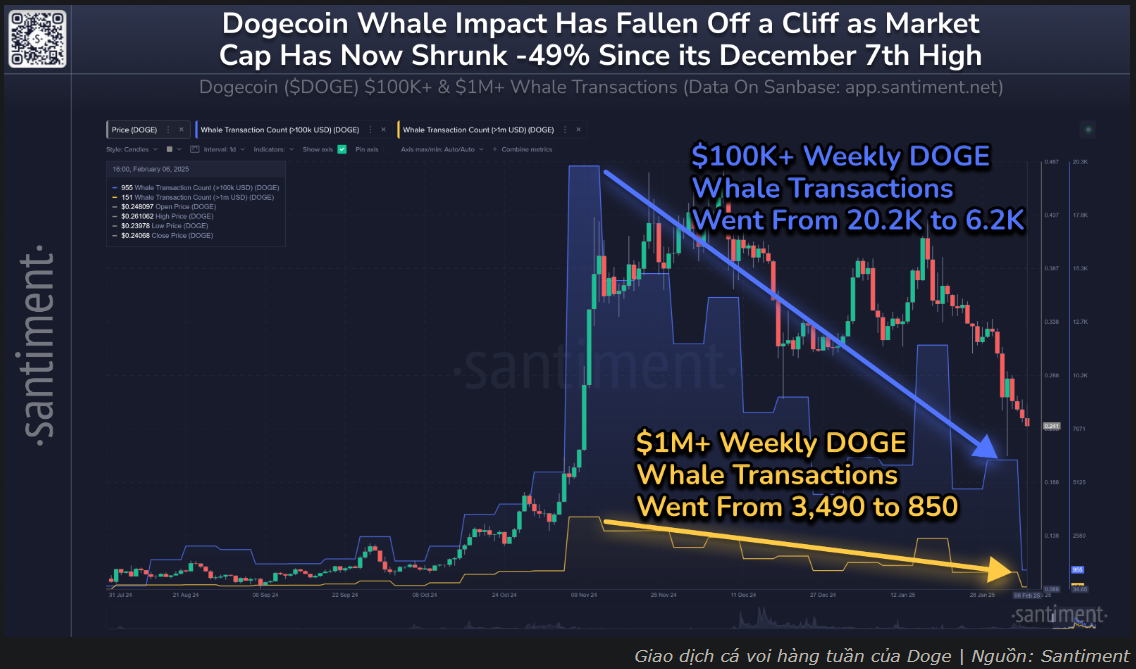 DOGE đối mặt với điều gì sau khi cá voi giảm giao dịch?