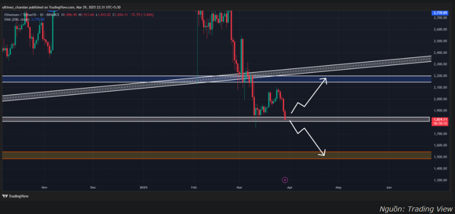Cá voi gom mạnh 58 triệu đô la ETH: Đã đến lúc mua Ethereum?