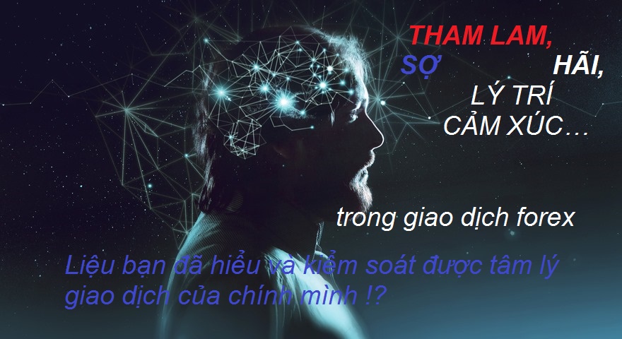 Hướng dẫn cách loại bỏ cảm xúc tiêu cực khi trade