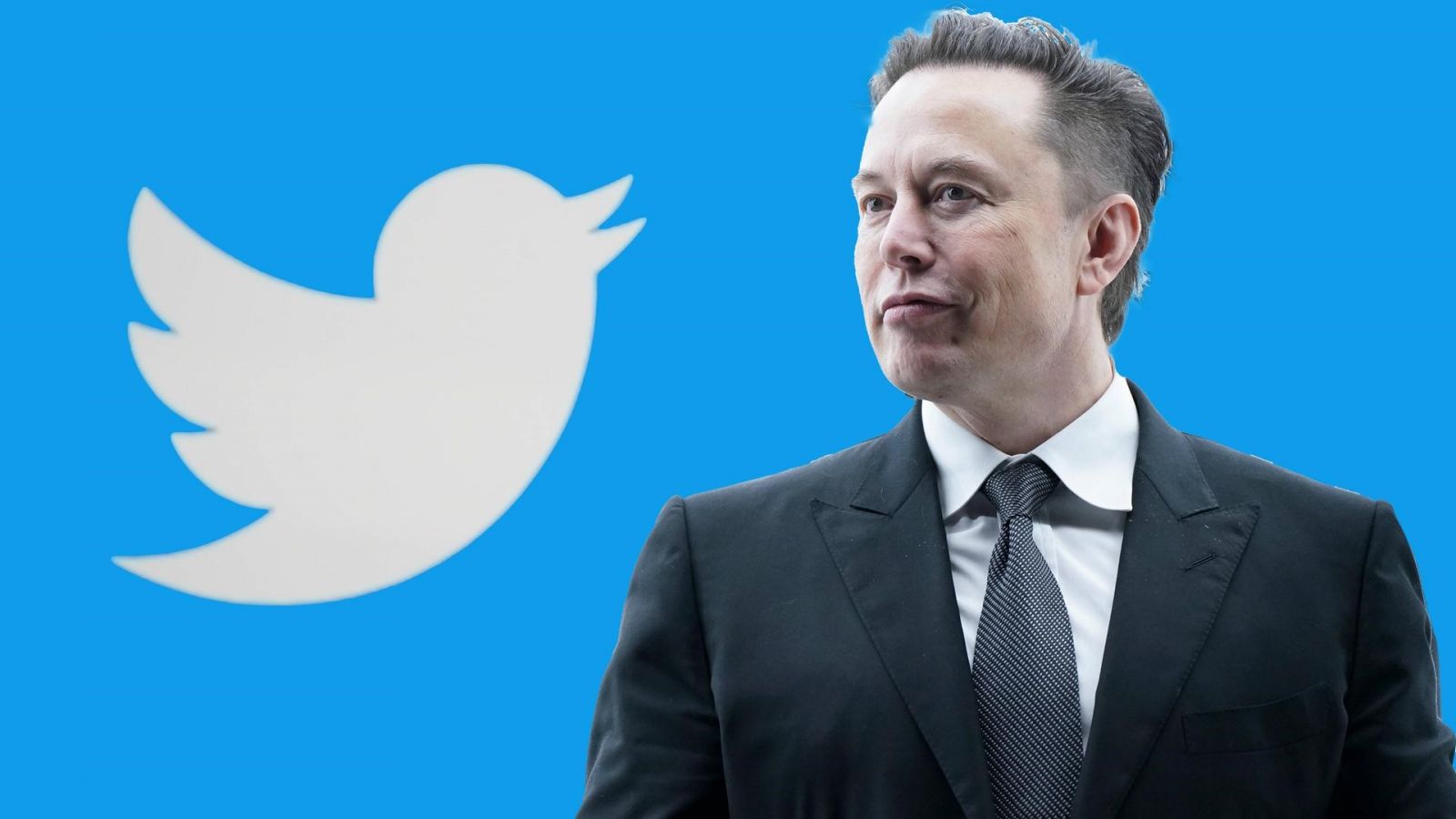 Không trả tiền thuê nên Twitter bị kiện