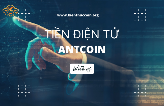 Giới thiệu AntCoin - Tiền điện tử sở hữu miễn phí trên Vipay