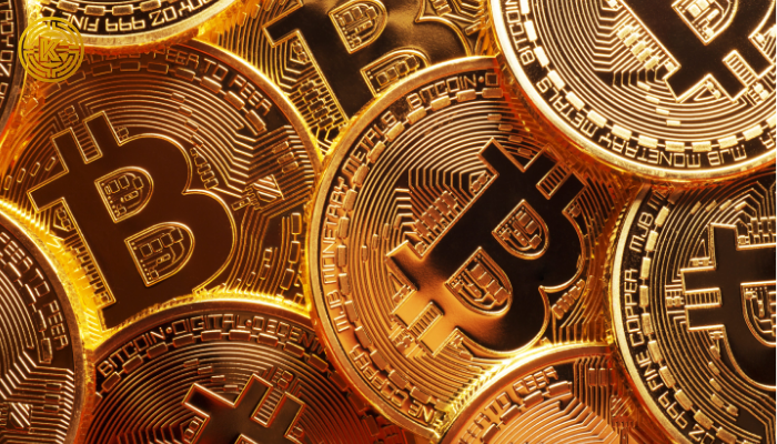 Quỹ đầu tư tổ chức giảm Bitcoin, tăng mua Altcoin chất lượng
