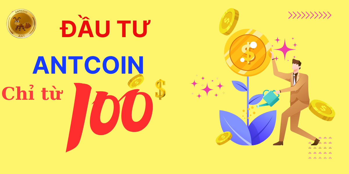 Tham gia gói quyền lợi của ví điện tử Vipay chỉ 100$