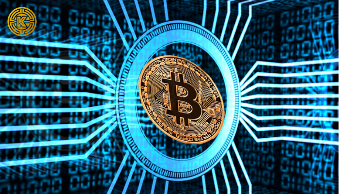 Bitcoin Core v30.0 gây tranh luận về rủi ro dữ liệu on-chain