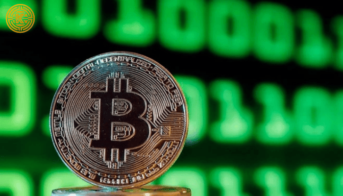 Bitcoin giữ vững 102.000 USD khi dòng tiền tổ chức tăng mạnh