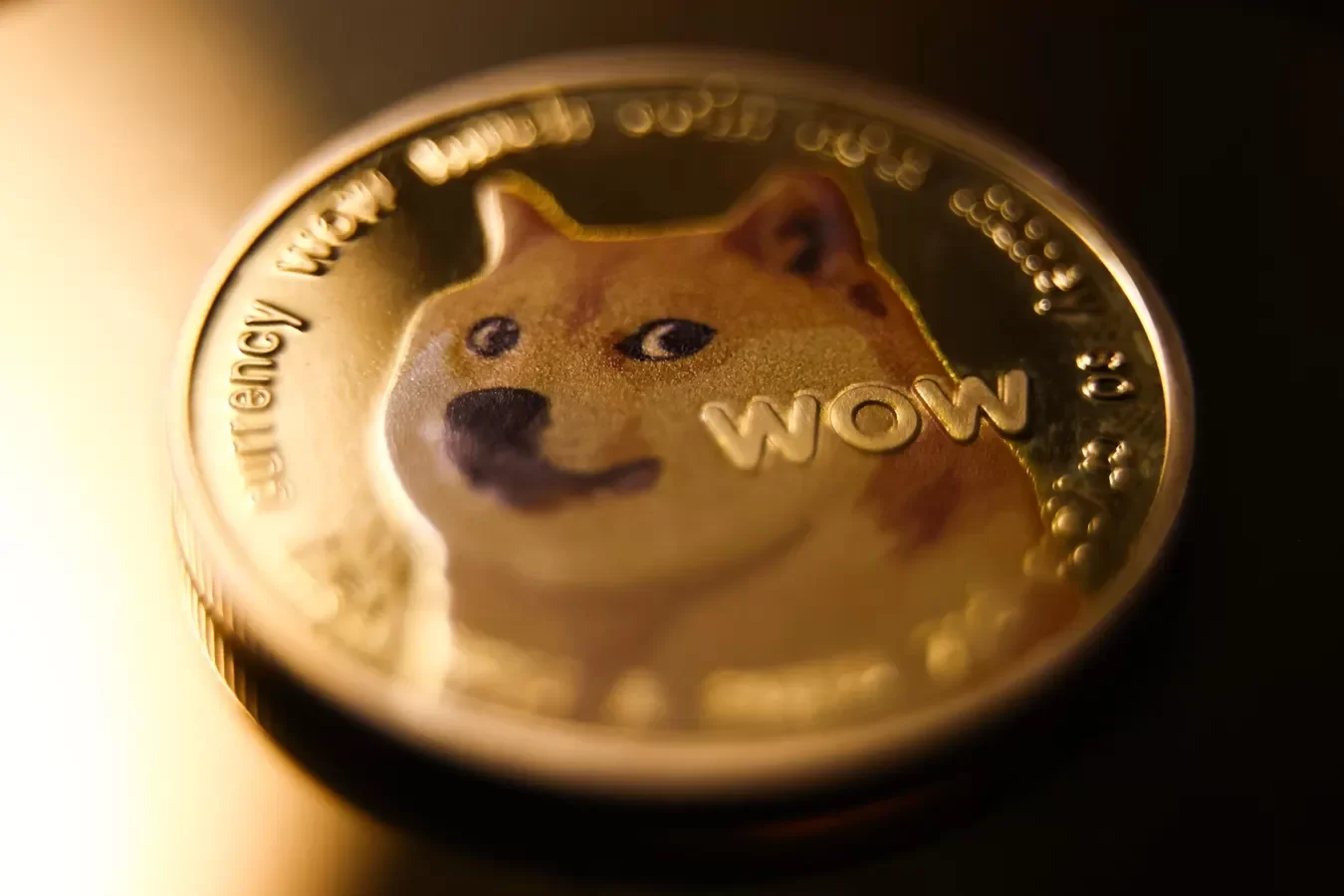 Dogecoin bứt phá 20% khi các cá voi tích trữ, Galaxy dự đoán DOGE sẽ chạm 1 đô la.