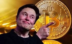 Elon Musk Cảnh Báo: Chính Quyền Mới Có Thể Làm Chậm Tốc Độ Tăng Trưởng Giá Bitcoin